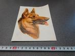 sticker Hond  Herdershond Hondenkop, Ophalen, Zo goed als nieuw