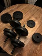 FOCUS Fitness dumbells 2x, Ophalen, Zo goed als nieuw, Armen, Dumbbell
