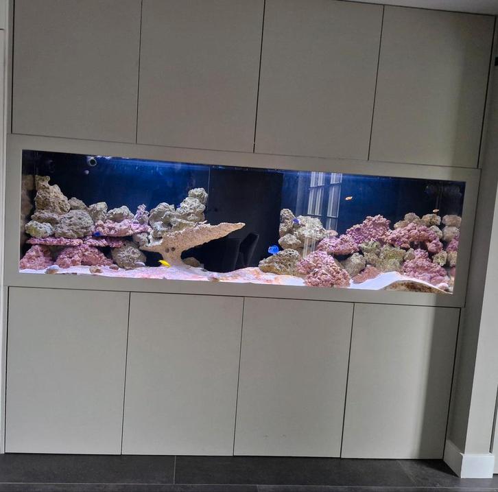 Prachtig groot zout water aquarium compleet met sump, Dieren en Toebehoren, Vissen | Aquaria en Toebehoren, Gebruikt, Gevuld zeewateraquarium