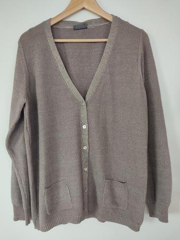 Yessica vest - Lila/Taupe met glinster - XL beschikbaar voor biedingen