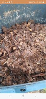 paardenmest, Ophalen, Compost