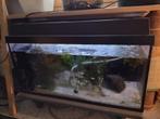 Aquariums, Dieren en Toebehoren, Vissen | Aquaria en Toebehoren, Ophalen, Gebruikt, Leeg aquarium