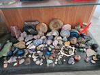 Mooie stenen en fossielen verzameling, Ophalen of Verzenden, Fossiel