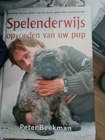 Spelenderwijs Opvoeden van Uw Pup - Beekman beschikbaar voor biedingen