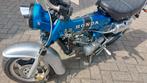 Honda Dax Skyteam LowRider, Ophalen, Zo goed als nieuw