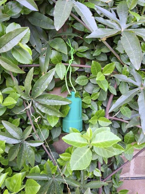 Geocaching CONTAINER, Hobby en Vrije tijd, Overige Hobby en Vrije tijd, Nieuw, Ophalen of Verzenden