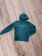 Texel trui pier53 maat s, Ophalen of Verzenden, Zo goed als nieuw, Maat 38/40 (M)