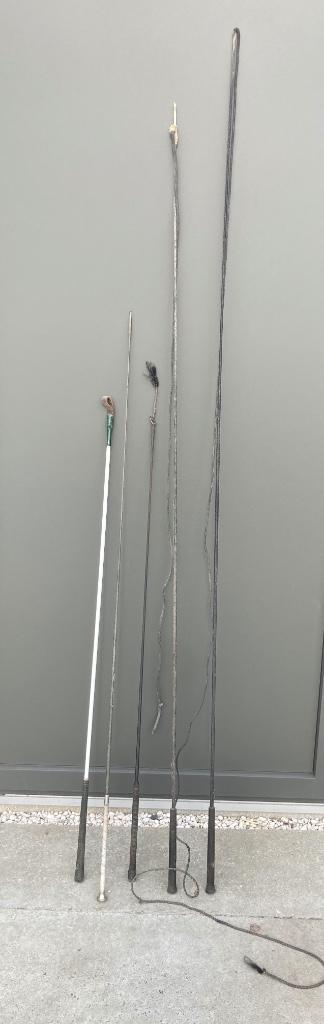 Zweep beschikbaar voor biedingen