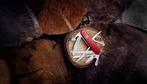 Victorinox  Huntsman zakmes | 15 functies | Nieuw, Caravans en Kamperen, Kampeergereedschap, Ophalen of Verzenden, Nieuw