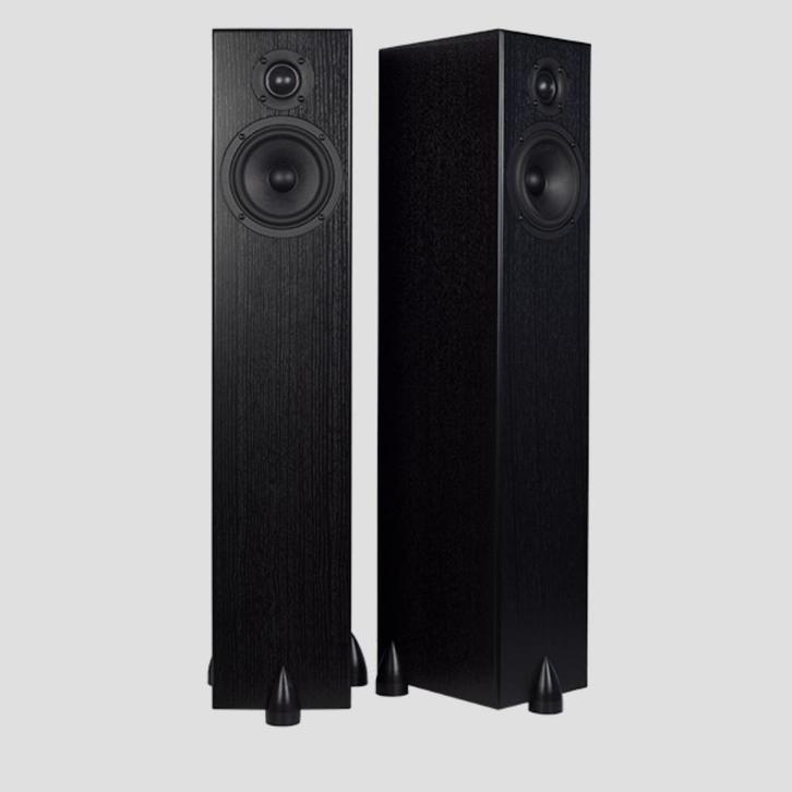 Totem Acoustic Bison Tower (Set van 2), Audio, Tv en Foto, Luidsprekers, Nieuw, Front, Rear of Stereo speakers, 120 watt of meer