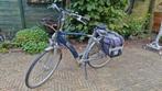 Batavus Padova Easy - Elektrische Fiets, Ophalen, Gebruikt, Batavus