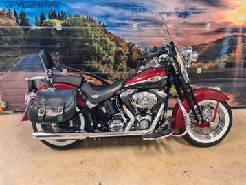 HARLEY-DAVIDSON SPRINGER CLASSIC FLSTSC SOFTAIL  2007 5HD NL beschikbaar voor biedingen