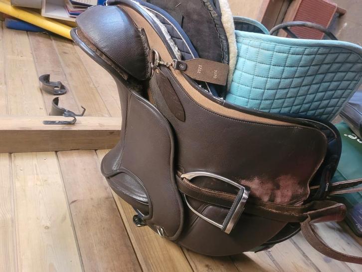 Barefoot Nottinghill Limited Edition (maat 1), Dieren en Toebehoren, Stalling en Weidegang