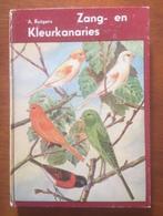 Zang- en kleurkanaries - A. Rutgers, Gelezen, Vogels, Verzenden