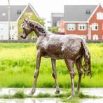 Beeld; metalen dierenbeelden - mooievogels, Ophalen of Verzenden