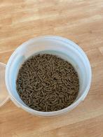 Konijnenvoer supreme science selective adult, Dieren en Toebehoren, Dierenvoeding, Ophalen, Knaagdier of Konijn