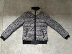 Winterjas gewatteerde jas Didi grijs zwart maat XS, Kleding | Dames, Jassen | Winter, Zwart, Didi, Ophalen of Verzenden, Maat 34 (XS) of kleiner