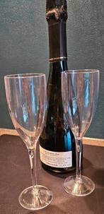 Champagne glazen, campingglazen, kunststof, picknickglazen, Ophalen of Verzenden, Zo goed als nieuw