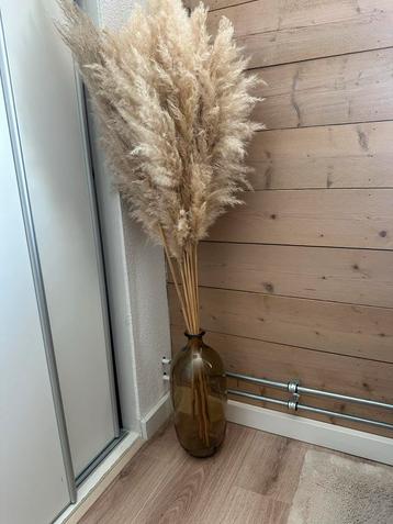 Vaas met Pampasgras beschikbaar voor biedingen