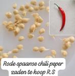 Zaden spaanse chili peper rood, Tuin en Terras, Ophalen, Volle zon