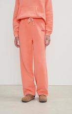 American vintage Koraal jogger nieuw, Kleding | Dames, Overige kleuren, Nieuw, Ophalen of Verzenden, American Vintage