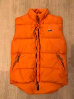 Oranje dames bodywarmer Napapijri, Ophalen, Zo goed als nieuw, Maat 36 (S), Oranje