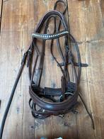 Graziozo hoofdstel Cob, Dieren en Toebehoren, Ophalen of Verzenden, Zo goed als nieuw
