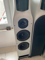 T+A Criterion TCI 1 RE High End Lautsprecher, Overige merken, Front, Rear of Stereo speakers, Ophalen of Verzenden, Zo goed als nieuw