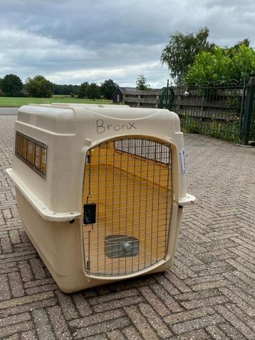 Stevige Hondenbench beschikbaar voor biedingen