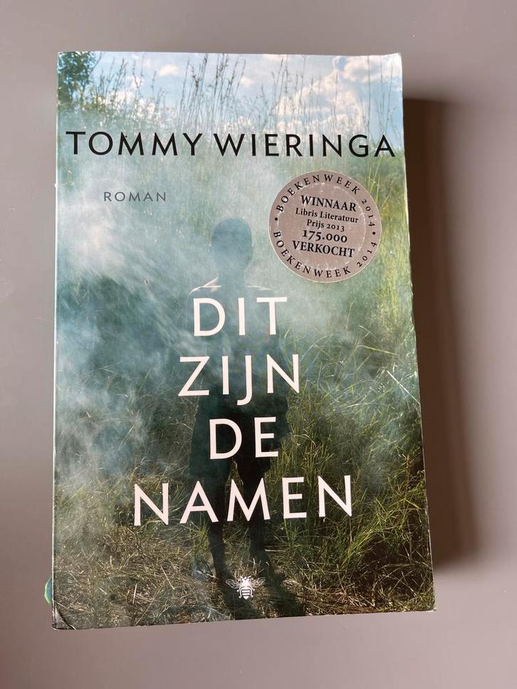 Tommy Wieringa - Dit zijn de namen, Boeken, Literatuur, Zo goed als nieuw, Ophalen of Verzenden