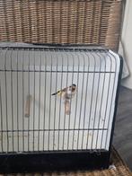 Putter Majoor, Ophalen of Verzenden, Nieuw, Aluminium, Broedkooi of Kweekkooi