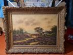 Schilderij 50/70 eventueel los te koop, Antiek en Kunst, Kunst | Schilderijen | Klassiek, Ophalen