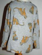 mooie Name It longsleeve maat 110, Kinderen en Baby's, Kinderkleding | Maat 110, Meisje, Ophalen of Verzenden, Zo goed als nieuw