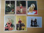 Set van 6 ansichtkaarten De prinsen van oranje, Nieuw, Nederland, Ophalen of Verzenden, Kaart, Foto of Prent