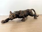 Panter, Ophalen