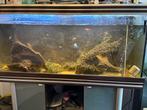 Groot aqualamtis aquarium met filter, Ophalen of Verzenden, Gebruikt, Leeg aquarium