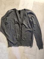 V) BB32 H&M grijs vest maat M gratis, Kleding | Dames, Truien en Vesten, Maat 38/40 (M), H&M, Verzenden, Grijs