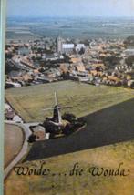 Geschiedenis van Wouw(Woide,Wouda,Delahaye, van Ham,Bos)., Ophalen of Verzenden, Zo goed als nieuw