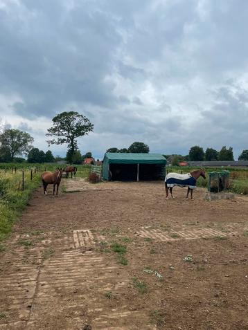24/7 doe het zelf stalling apeldoorn beschikbaar voor biedingen