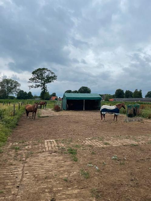 24/7 doe het zelf stalling apeldoorn, Dieren en Toebehoren, Stalling en Weidegang, Stalling