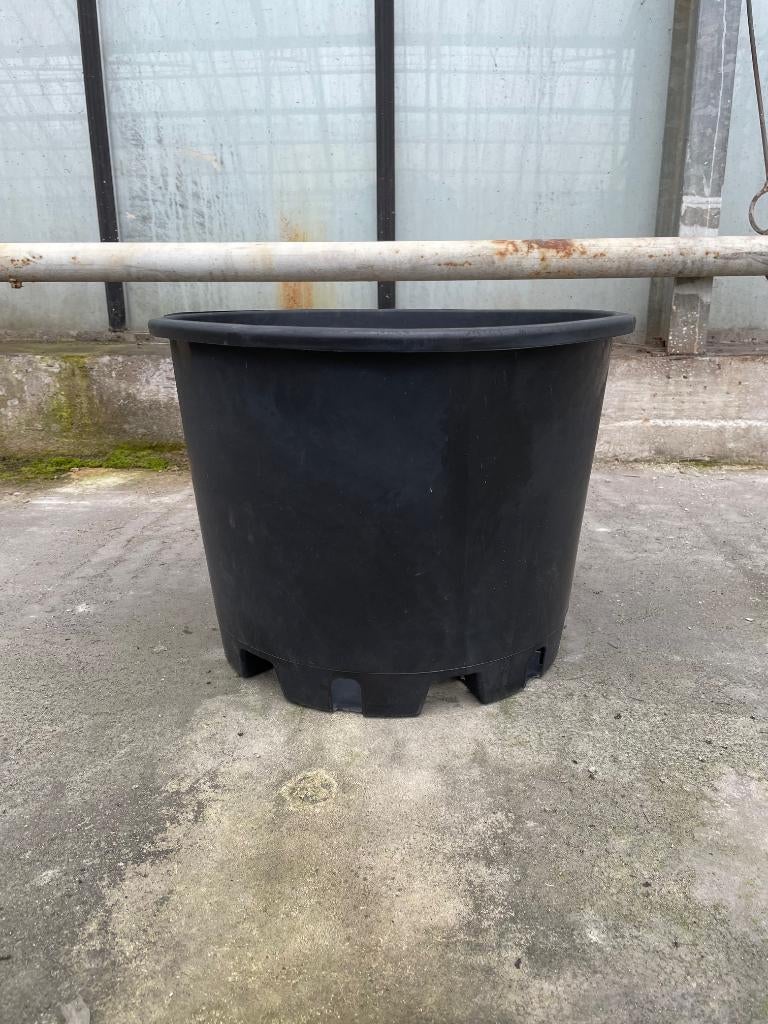 Boomkuip Plantpot 40 ltr, Ophalen, Kunststof, 40 cm of meer, Rond