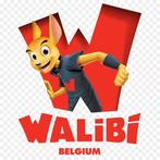 2 Walibi belgium tickets geldig t/m 11 november 2024, Tickets en Kaartjes, Twee personen