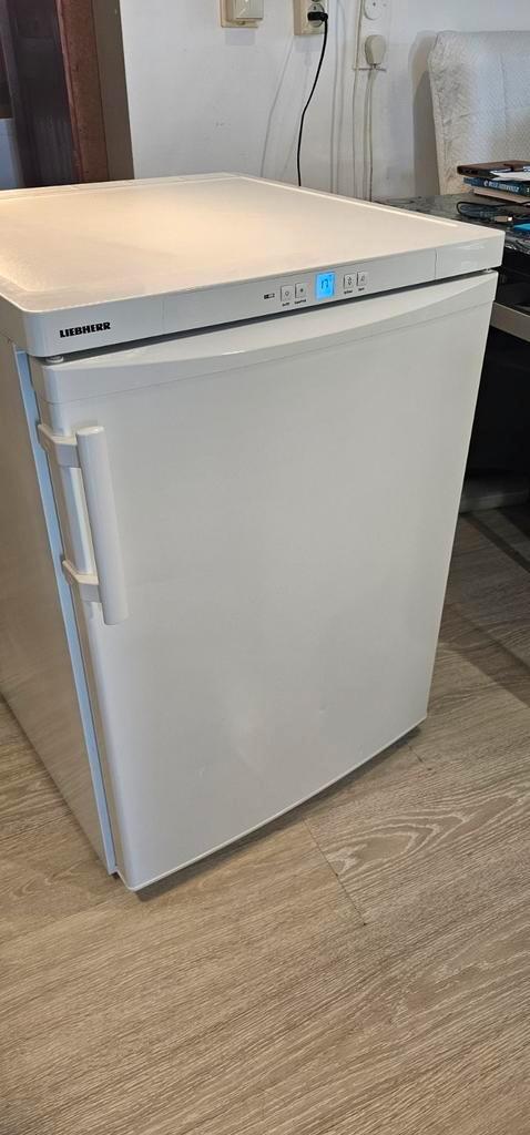 Vrieskast tafelmodel Liebherr (F3), Witgoed en Apparatuur, Vriezers en Diepvrieskisten, Zo goed als nieuw, 85 tot 120 cm, Minder dan 60 cm