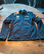 Puma Red Bull Racing Jas Maat S - Max Verstappen, Ophalen of Verzenden, Zo goed als nieuw, Maat 46 (S) of kleiner, Blauw