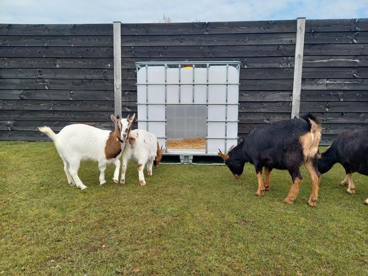 NIEUWE Nachthokken / Schuilhokken, Dieren en Toebehoren, Schapen, Geiten en Varkens, Schaap, Meerdere dieren