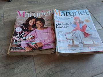 28x Margriet  beschikbaar voor biedingen