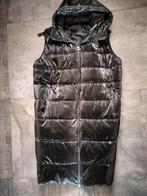Angel of style bodywarmer zwart mt 54/56, Kleding | Dames, Grote Maten, Angel of style, Zwart, Ophalen of Verzenden, Jas of Mantel