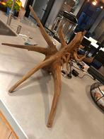 Groot stuk Kienhout / Driftwood / Spiderwood voor aquarium, Ophalen of Verzenden, Zo goed als nieuw, Plant(en), Steen of Hout