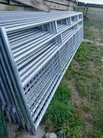 landhakken gegalvaniseerd, Dieren en Toebehoren, Vrouwelijk, Schaap