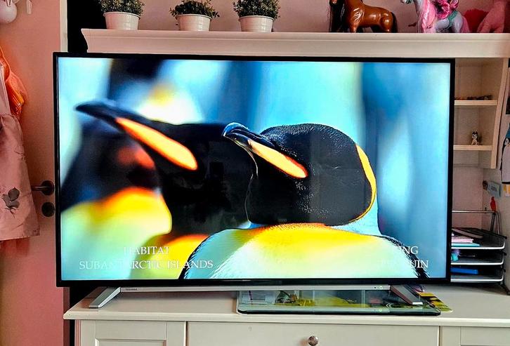 Toshiba smart tv 55inch.. MET WiFi, Audio, Tv en Foto, Televisies, Zo goed als nieuw, 100 cm of meer, Toshiba, 50 Hz, Ophalen